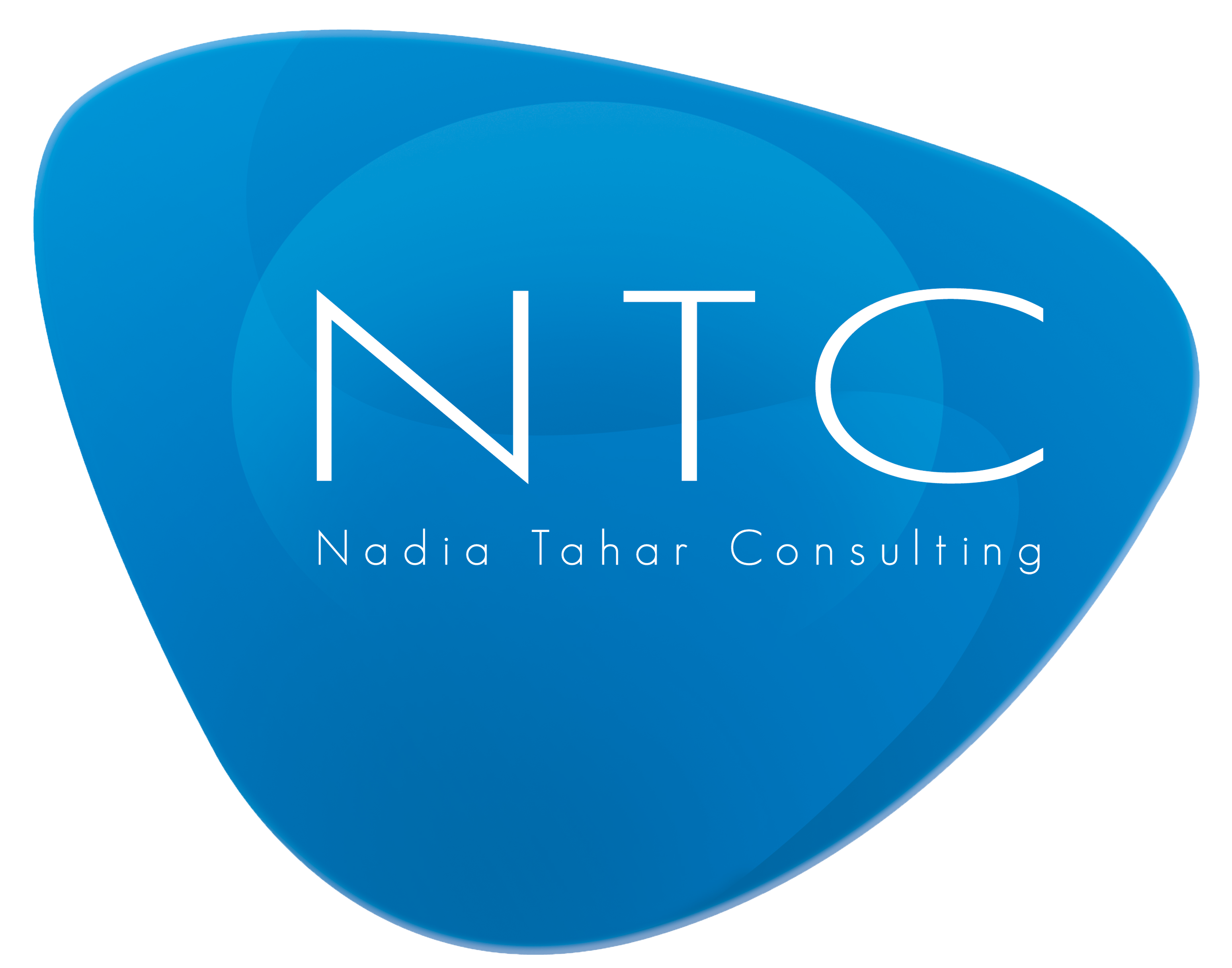 NT Consulting
